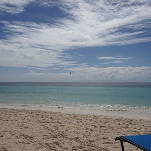 Meet your Posher, Rose